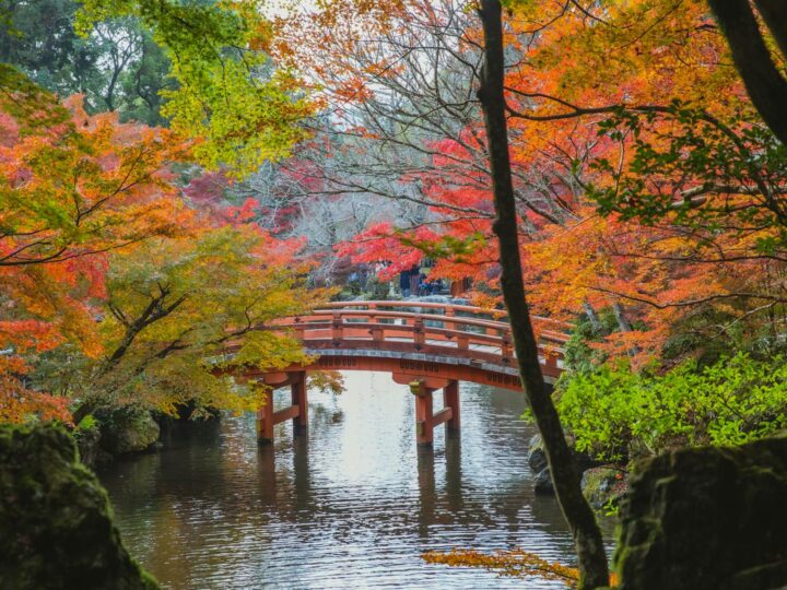 Jardim japons